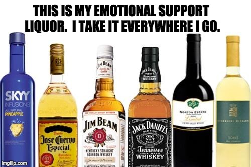Liquor | THIS IS MY EMOTIONAL SUPPORT LIQUOR.  I TAKE IT EVERYWHERE I GO. | image tagged in liquor | made w/ Imgflip meme maker