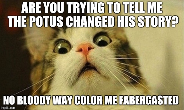 ARE YOU TRYING TO TELL ME THE POTUS CHANGED HIS STORY? NO BLOODY WAY COLOR ME FABERGASTED | image tagged in shocked kitty | made w/ Imgflip meme maker
