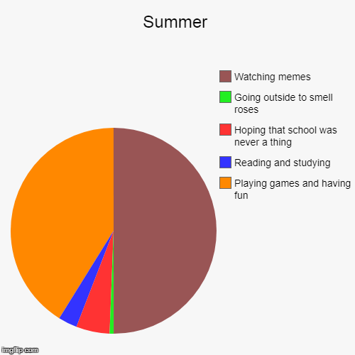 Summer | Playing games and having fun, Reading and studying, Hoping that school was never a thing, Going outside to smell roses, Watching me | image tagged in funny,pie charts | made w/ Imgflip chart maker