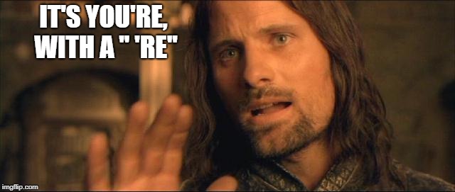 Aragorn, King of Grammar Police | IT'S YOU'RE, WITH A " 'RE" | image tagged in aragorn,lotr,one does not simply,mordor,grammar | made w/ Imgflip meme maker