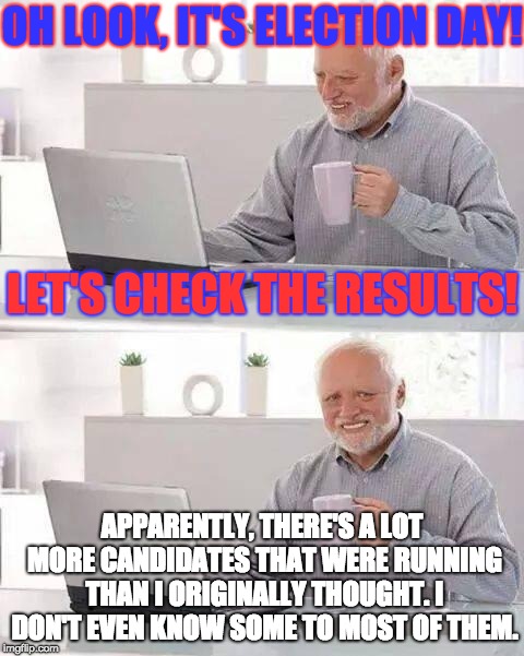 This Always Stump Everyone on Election Day | OH LOOK, IT'S ELECTION DAY! LET'S CHECK THE RESULTS! APPARENTLY, THERE'S A LOT MORE CANDIDATES THAT WERE RUNNING THAN I ORIGINALLY THOUGHT. I DON'T EVEN KNOW SOME TO MOST OF THEM. | image tagged in memes,hide the pain harold,election,politics,candidates,random | made w/ Imgflip meme maker