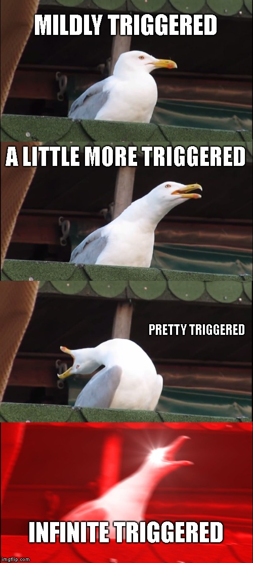 Inhaling Seagull | MILDLY TRIGGERED; A LITTLE MORE TRIGGERED; PRETTY TRIGGERED; INFINITE TRIGGERED | image tagged in memes,inhaling seagull | made w/ Imgflip meme maker