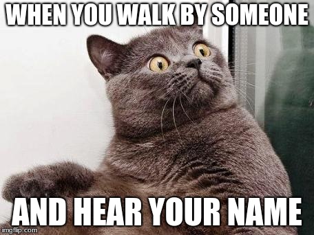 Surprised cat | WHEN YOU WALK BY SOMEONE; AND HEAR YOUR NAME | image tagged in surprised cat | made w/ Imgflip meme maker