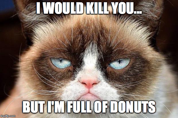 Grumpy cat glare | I WOULD KILL YOU... BUT I'M FULL OF DONUTS | image tagged in grumpy cat glare | made w/ Imgflip meme maker