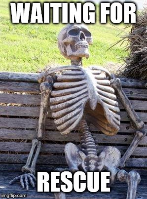 Waiting Skeleton Meme | WAITING FOR; RESCUE | image tagged in memes,waiting skeleton | made w/ Imgflip meme maker