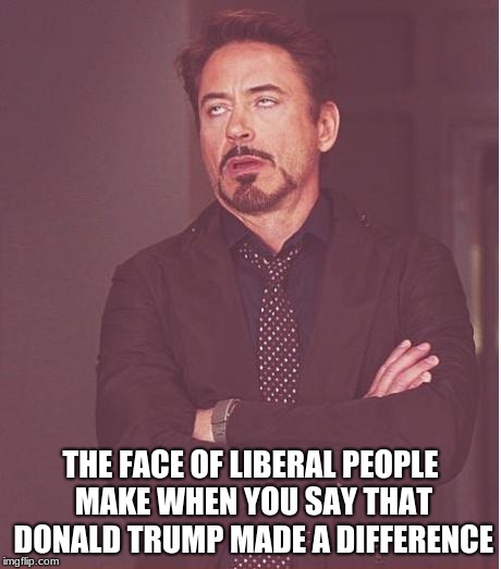 Face You Make Robert Downey Jr | THE FACE OF LIBERAL PEOPLE MAKE WHEN YOU SAY THAT DONALD TRUMP MADE A DIFFERENCE | image tagged in memes,face you make robert downey jr | made w/ Imgflip meme maker