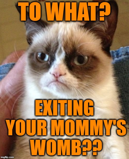 Grumpy Cat Meme | TO WHAT? EXITING YOUR MOMMY'S WOMB?? | image tagged in memes,grumpy cat | made w/ Imgflip meme maker