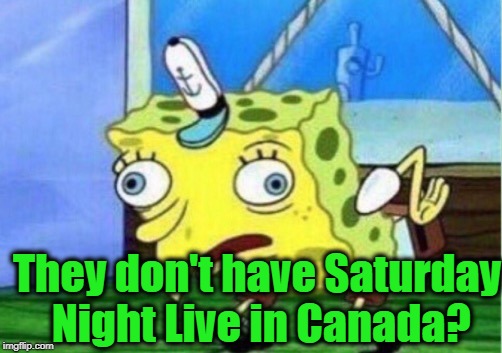 Mocking Spongebob Meme | They don't have Saturday Night Live in Canada? | image tagged in memes,mocking spongebob | made w/ Imgflip meme maker
