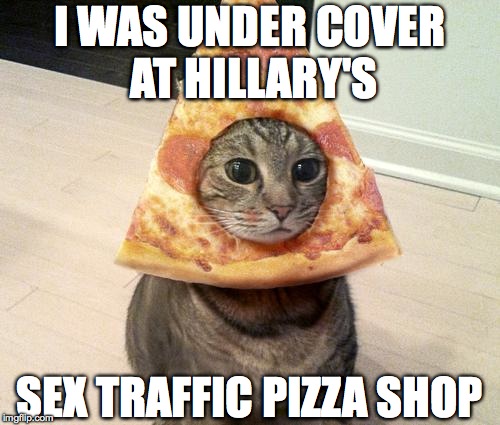 pizza cat | I WAS UNDER COVER AT HILLARY'S SEX TRAFFIC PIZZA SHOP | image tagged in pizza cat | made w/ Imgflip meme maker