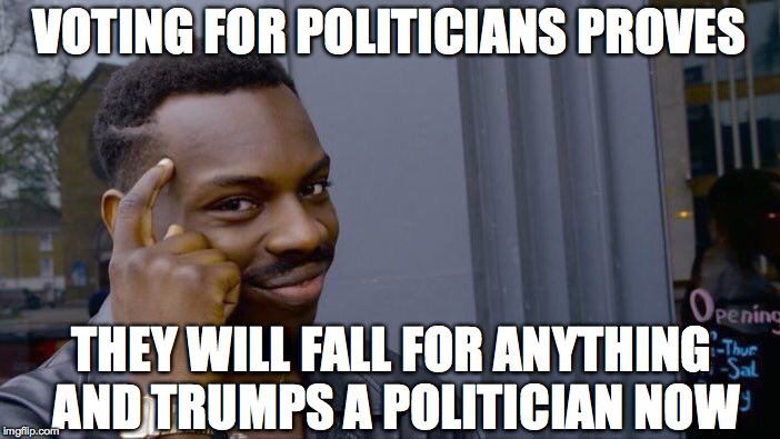 Roll Safe Think About It Meme | VOTING FOR POLITICIANS PROVES THEY WILL FALL FOR ANYTHING AND TRUMPS A POLITICIAN NOW | image tagged in memes,roll safe think about it | made w/ Imgflip meme maker