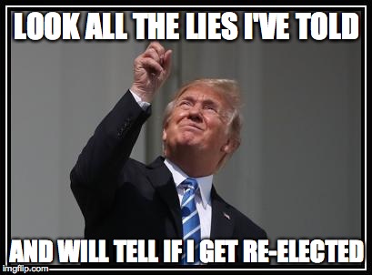 Trumps space force | LOOK ALL THE LIES I'VE TOLD AND WILL TELL IF I GET RE-ELECTED | image tagged in trumps space force | made w/ Imgflip meme maker