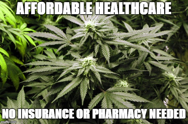 Hey Big Pharma Cartel.........SUCK ON THIS!!! | AFFORDABLE HEALTHCARE; NO INSURANCE OR PHARMACY NEEDED | image tagged in affordable healthcare,medical marijuana | made w/ Imgflip meme maker