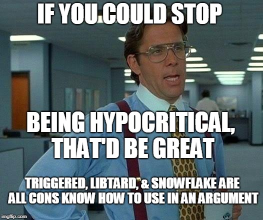 That Would Be Great Meme | IF YOU COULD STOP BEING HYPOCRITICAL, THAT'D BE GREAT TRIGGERED, LIBTARD, & SNOWFLAKE ARE ALL CONS KNOW HOW TO USE IN AN ARGUMENT | image tagged in memes,that would be great | made w/ Imgflip meme maker