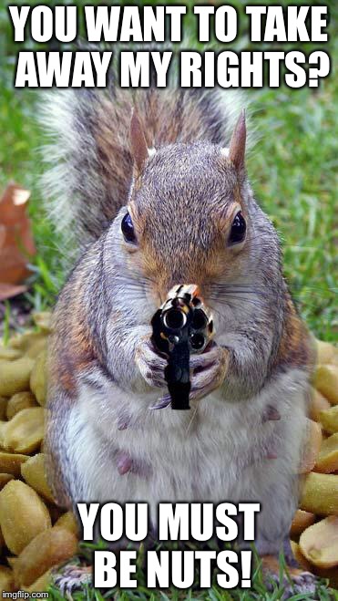 Shall NUT be Infringed | YOU WANT TO TAKE AWAY MY RIGHTS? YOU MUST BE NUTS! | image tagged in funny squirrels with guns 5,second amendment | made w/ Imgflip meme maker
