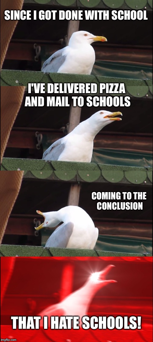 Circa 2002 | SINCE I GOT DONE WITH SCHOOL; I'VE DELIVERED PIZZA AND MAIL TO SCHOOLS; COMING TO THE CONCLUSION; THAT I HATE SCHOOLS! | image tagged in memes,inhaling seagull,school,pizza,mail | made w/ Imgflip meme maker