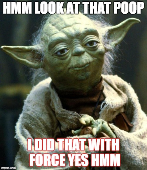 Star Wars Yoda Meme | HMM LOOK AT THAT POOP; I DID THAT WITH FORCE YES HMM | image tagged in memes,star wars yoda | made w/ Imgflip meme maker