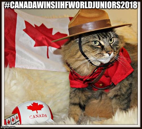Canada Cat | #CANADAWINSIIHFWORLDJUNIORS2018 | image tagged in canada cat | made w/ Imgflip meme maker