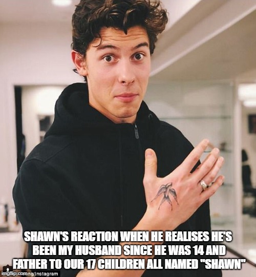  SHAWN'S REACTION WHEN HE REALISES HE'S BEEN MY HUSBAND SINCE HE WAS 14 AND FATHER TO OUR 17 CHILDREN ALL NAMED "SHAWN" | image tagged in celebrity,shawn mendes | made w/ Imgflip meme maker