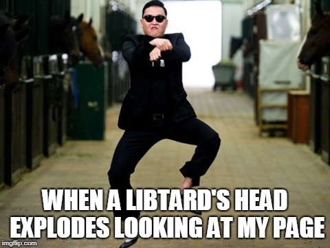 Psy Horse Dance | WHEN A LIBTARD'S HEAD EXPLODES LOOKING AT MY PAGE | image tagged in memes,psy horse dance | made w/ Imgflip meme maker