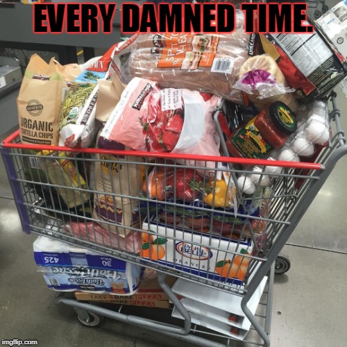 Shopping Cart | EVERY DAMNED TIME. | image tagged in shopping cart | made w/ Imgflip meme maker