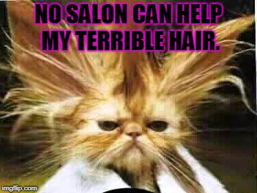 bad hair day | NO SALON CAN HELP MY TERRIBLE HAIR. | image tagged in bad hair day | made w/ Imgflip meme maker