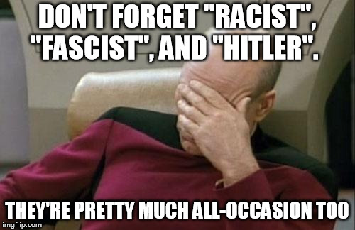 Captain Picard Facepalm Meme | DON'T FORGET "RACIST", "FASCIST", AND "HITLER". THEY'RE PRETTY MUCH ALL-OCCASION TOO | image tagged in memes,captain picard facepalm | made w/ Imgflip meme maker