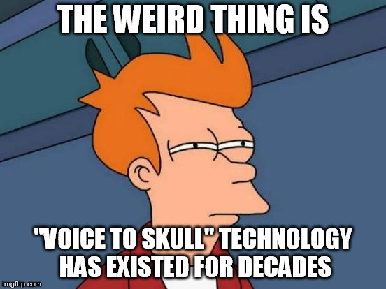 Futurama Fry Meme | THE WEIRD THING IS "VOICE TO SKULL" TECHNOLOGY HAS EXISTED FOR DECADES | image tagged in memes,futurama fry | made w/ Imgflip meme maker