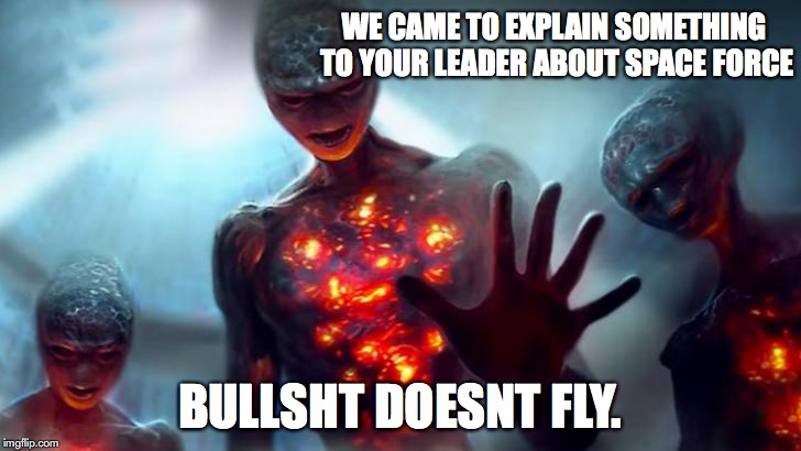 Trump's Space Force | WE CAME TO EXPLAIN SOMETHING TO YOUR LEADER ABOUT SPACE FORCE; BULLSHT DOESNT FLY. | image tagged in trump,space force | made w/ Imgflip meme maker