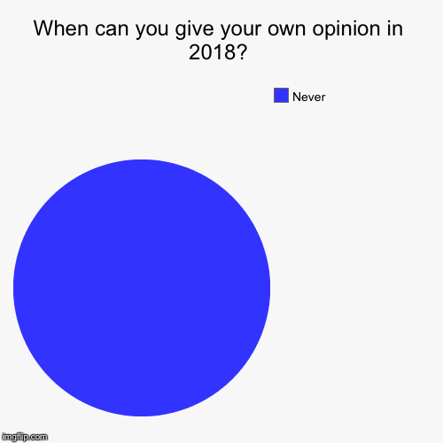 Sadly, its true | When can you give your own opinion in 2018? | Never | image tagged in funny,pie charts,opinions,humanity,2018 | made w/ Imgflip chart maker