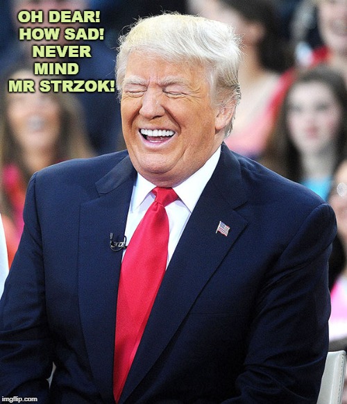 trump laughing | OH DEAR! HOW SAD! NEVER MIND

 MR STRZOK! | image tagged in trump laughing | made w/ Imgflip meme maker