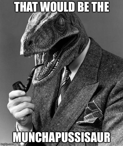 Evolution | THAT WOULD BE THE MUNCHAPUSSISAUR | image tagged in evolution | made w/ Imgflip meme maker