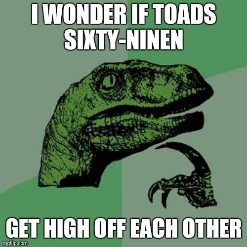 Philosoraptor Meme | I WONDER IF TOADS SIXTY-NINEN GET HIGH OFF EACH OTHER | image tagged in memes,philosoraptor | made w/ Imgflip meme maker