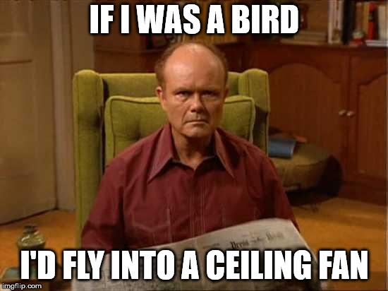 Red Foreman | IF I WAS A BIRD; I'D FLY INTO A CEILING FAN | image tagged in red foreman | made w/ Imgflip meme maker