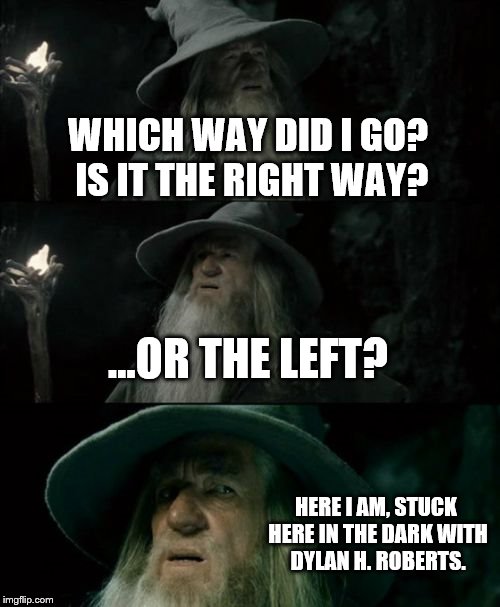 Confused Gandalf Meme | WHICH WAY DID I GO? IS IT THE RIGHT WAY? ...OR THE LEFT? HERE I AM, STUCK HERE IN THE DARK WITH DYLAN H. ROBERTS. | image tagged in memes,confused gandalf | made w/ Imgflip meme maker