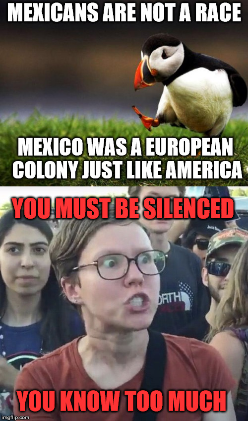 MEXICANS ARE NOT A RACE; MEXICO WAS A EUROPEAN COLONY JUST LIKE AMERICA; YOU MUST BE SILENCED; YOU KNOW TOO MUCH | image tagged in unpopular opinion puffin,triggered liberal | made w/ Imgflip meme maker