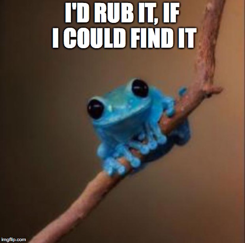Small fact frog | I'D RUB IT, IF I COULD FIND IT | image tagged in small fact frog | made w/ Imgflip meme maker