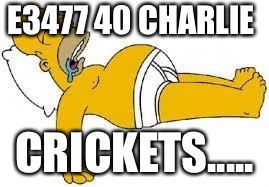 Sleeping Homer | E3477 40 CHARLIE; CRICKETS..... | image tagged in sleeping homer | made w/ Imgflip meme maker