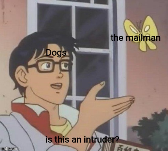 Is This A Pigeon Meme | the mailman; Dogs; is this an intruder? | image tagged in memes,is this a pigeon | made w/ Imgflip meme maker
