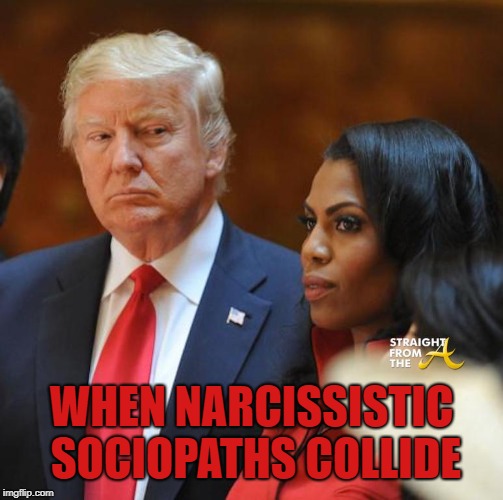 She Might Be the One to Take Him Down | WHEN NARCISSISTIC SOCIOPATHS COLLIDE | image tagged in trump,omarosa,malignant narcissism,sociopath | made w/ Imgflip meme maker