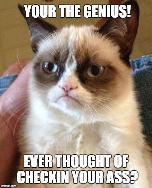 Grumpy Cat | YOUR THE GENIUS! EVER THOUGHT OF CHECKIN YOUR ASS? | image tagged in memes,grumpy cat | made w/ Imgflip meme maker