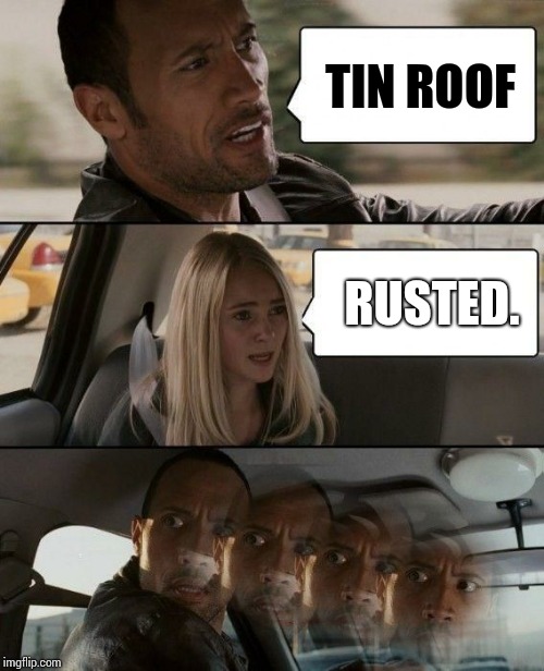 All The Cool Kids Will Get It |  TIN ROOF; RUSTED. | image tagged in the rock roofie,beachpeace,memes,meme,funny,goofy memes | made w/ Imgflip meme maker