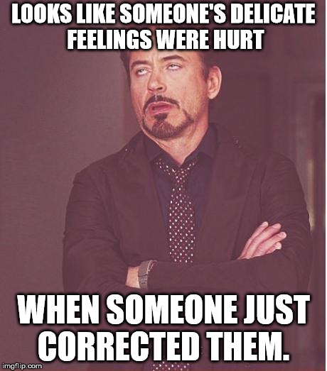 Face You Make Robert Downey Jr Meme | LOOKS LIKE SOMEONE'S DELICATE FEELINGS WERE HURT WHEN SOMEONE JUST CORRECTED THEM. | image tagged in memes,face you make robert downey jr | made w/ Imgflip meme maker