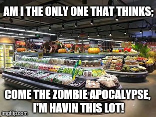 Deli Apocalypse  | AM I THE ONLY ONE THAT THINKS;; COME THE ZOMBIE APOCALYPSE, I'M HAVIN THIS LOT! | image tagged in apocalypse,supermarket,my zombie apocalypse team,zombie apocalypse,free stuff,funny memes | made w/ Imgflip meme maker