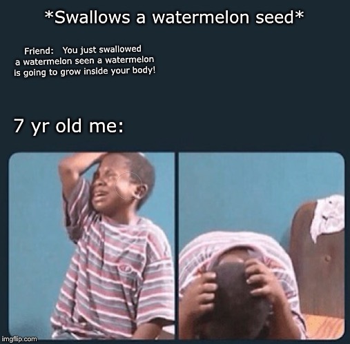 I believed this | *Swallows a watermelon seed*; Friend:   You just swallowed a watermelon seen a watermelon is going to grow inside your body! 7 yr old me: | image tagged in watermelon,7 yr old me | made w/ Imgflip meme maker