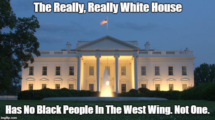 The Really, Really White House Has No Black People In The West Wing. Not One. | made w/ Imgflip meme maker