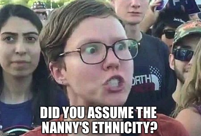 Triggered Liberal | DID YOU ASSUME THE NANNY'S ETHNICITY? | image tagged in triggered liberal | made w/ Imgflip meme maker
