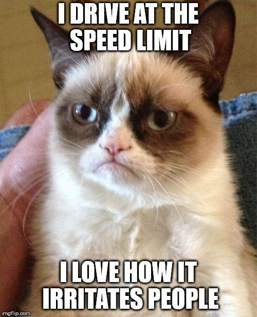 Grumpy Cat Meme | I DRIVE AT THE SPEED LIMIT I LOVE HOW IT IRRITATES PEOPLE | image tagged in memes,grumpy cat | made w/ Imgflip meme maker