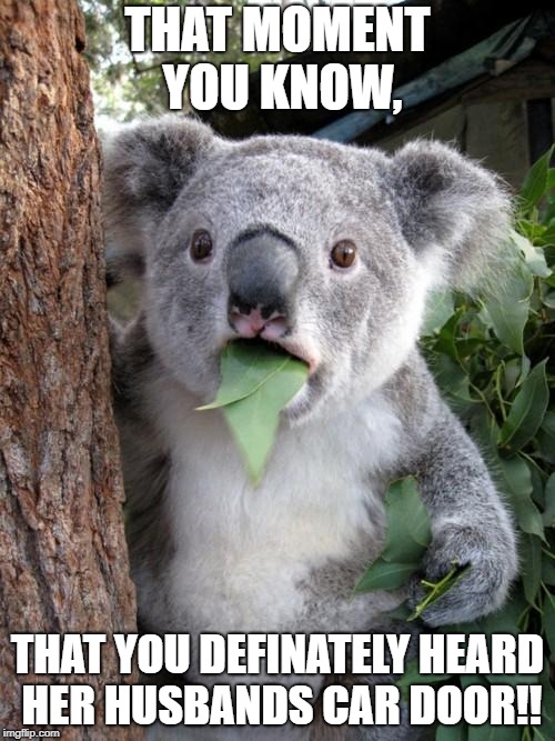 Surprised Koala Meme | THAT MOMENT YOU KNOW, THAT YOU DEFINATELY HEARD HER HUSBANDS CAR DOOR!! | image tagged in memes,surprised koala | made w/ Imgflip meme maker
