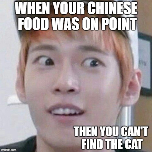 HONEY! THE CAT'S MISSING AGAIN! | WHEN YOUR CHINESE FOOD WAS ON POINT; THEN YOU CAN'T FIND THE CAT | image tagged in china,chinese food,cat food | made w/ Imgflip meme maker