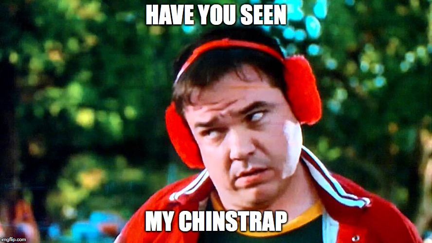 Have you seen my baseball? There's Something About Mary | HAVE YOU SEEN; MY CHINSTRAP | image tagged in have you seen my baseball there's something about mary | made w/ Imgflip meme maker